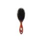GLAMOUR STUDIO Brush Boar Strengthens tire (Random Colors) (Health and Beauty)