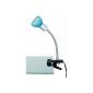 Briloner lights Clamp Spot LED clip light, 1 x GU10, titan colored 2989-010P (household goods)