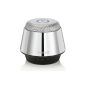 Rokono® (B10) BASS + Mini Bluetooth Speaker for iPhone / iPad / iPod / MP3 player / Tablet PC / Notebook - platinum (Electronics)