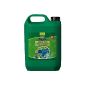 Tetra Pond AlgoFin 753 327, for the effective and safe destruction of stubborn thread algae and other algae in garden ponds, 3 L (Misc.)