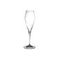 Riedel 0403/08 Vitis Champagne Flute 2 glasses (household goods)