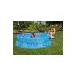 Intex - 54910 Fr - Pool - piscinette Clearview Easy Set (Transparent) 2.44 X 0.76 M - Freestanding (Toy)