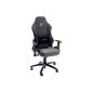 Robas Lund 62507GS8 / 62507GS4 Racer7 executive chair with armrests, aluminum, black, 74 x 50 x 117-127 cm, fabric gray / black with carbon look (household goods)