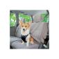 EnGive dog car seat safety harness seat belt (Black, S)