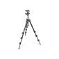 Manfrotto MK293C4-A0RC2 Carbon Tripod with 4 segments and 494RC2 ball head (electronics)