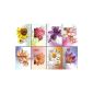 50 greeting cards flowers without text folding cards with 50 envelopes 8 motives Neutral greeting 99-1920