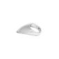 Roestvrij Staal Stainless Steel Teardrop Cock Ring 55 mm, 1-pack (1 x 1 piece) (Health and Beauty)