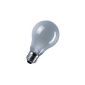 10 x 100W bulb E27 MATT incandescent 100 watt bulbs bulbs (Housewares)