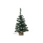 Brauns-Heitmann 87006 Christmas tree with 20-piece LED light chain, approx 60 cm, white tips (household goods)