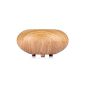 LAGUTE Bois woodgrain wood grain aroma diffuser fragrance diffuser humidifier Humidifier EU (Apfelformig, Hell)