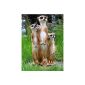 Meerkats family figure garden Representation Animal figure NEW (garden products)