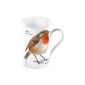 Creative Tops The Wildlife Trusts - Robin - Fine Bone China Mug Gift Box (Kitchen)