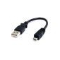 StarTech.com Micro USB cable A / Micro B 6 inches - Straight (Personal Computers)
