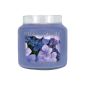 Village Candle Scented Candle with free Car Air Freshener 17 x 10 cm 1219 g hydrangea (household goods)