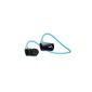 Sony Walkman MP3 player with NWZW273 in-ear headphones (4GB internal memory, USB) Blue (Electronics)