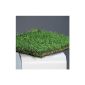 Grass mat 33x33cm plastic lawn turf artificial turf 54326 (household goods)