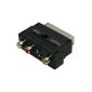 mumbi SCART / S-VHS / AV adapter (Scart m / SVHS + 3xRCA f) with switch Line In-Out (Electronics)