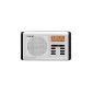 Pure Move 400D portable digital radio (DAB / DAB +, FM, rechargeable) Silver (Electronics)