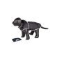 Nobby 68456 Dog Raincoat Rainy 48 cm (Black) (Others)