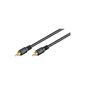 Wentronic audio / video cable (RCA plug RCA) 10 m (Germany Import) (Accessory)