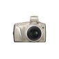 Canon PowerShot SX 130 IS Digital Camera (12MP, 12x opt. Zoom, 7.5 cm (2.95 inch) display, image stabilized) Silver (Electronics)
