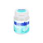 Mentos Chewing Gum White Sweet Mint tin, 2-pack (2 x 75 g) (Food & Beverage)