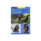 Dictionary of Birds of France (Paperback)