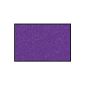 Euro Graphics DT-DT5327 Deco Mats, walking / clean-off mat, washable, 50 x 75 cm, lavender purple (household goods)