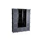 Songmics Cabinet Wardrobe DIY Cubes / plastic modular storage shelf frame printed in black and white metal LPC30H (Kitchen)