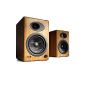 Audioengine A5 PLUS PC Speakers / 50W RMS MP3 Stations (Electronics)