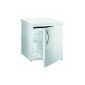 Gorenje F 4061 AW Mini-freezer / A + / 60.5 cm Height / 167 kWh / year / 53 L freezer / 2 Extractable frozen baskets / white (Misc.)