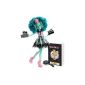 Mattel Monster High BLX04 - light from horror to Deluxe Honey Swamp, doll with accessories (toys)