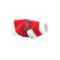 Christmas Decorations, Santa Costume for Small Dogs (Miscellaneous)