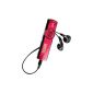 Sony NWZ-B173F Walkman mp3 player © 4GB USB Red (Electronics)