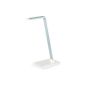 Daffodil LEC250W - Desk Lamp - 21 LED with Brightness Adjustable (Tools & Accessories)