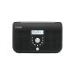 Pure One Elite VL-61883 II Stereo digital radio (DAB / DAB + / FM with RDS, 2.5 Watt) (Electronics)