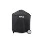 Fit the cover for the Weber Spirit E-210 Classic?  Yes, with restrictions!