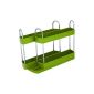 Spice rack - spice rack with color selection (green) (household goods)
