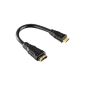 Slim HDMI Mini to normal Adapter for PC gamers!
