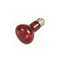 Trixie Infrared Spot Lamp 63 x 100 mm 50 W (Others)
