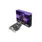 Sapphire 270X 11217-01-20G Dual-X Radeon R9 ATI graphics card (PCI-e 3.0, 2GB of GDDR5 memory, 2x DVI, HDMI, DisplayPort, 1020MHz GPU) (Accessories)