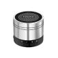 EasyAcc® Mini Portable Bluetooth Speaker Silver