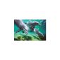 1art1 48977 Dolphins - underwater posters (91 x 61 cm) (household goods)
