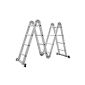 Telescopic multipurpose ladder Songmics