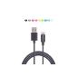 [Apple MFI certified] dodocool® 8-pin Data Sync / Charge Cable Lightning to USB cord adapter for iPhone 5, 5c or 5s, 6, 6 More iPod touch 5th generation iPod nano 7th generation iPad 4th generation iPad mini iPad Air (gray ) (electronic devices)