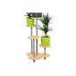 Kesper 17280 flower stand, metal, dimensions: 64.5 x 46 x 75 cm (household goods)