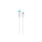 LeTouch Link - Sync and Charger Cable Apple Lightning - Exit Light / Electroluminescent - iPhone 5 / iPhone 5S / iPad Air / iPad Mini Retina / iPad 4 - White (Electronics)