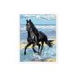 Ravensburger - 28119 - Hobby Creative - Paint Box number Art - Galloping Horse (Toy)