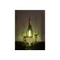 SPAR ACTION 3 Bottle Lights, 1x set of 3 warm white light Bottle Light Mood lighting of wine bottles mood lighting (electronic)