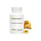 CURCUMIN (Biocurcumax) * patented Curcumin extract titrated to 95% curcuminoids * 350 mg / 60 vegetarian capsules * Powerful antioxidant, exceptional Bioavailability * Effectiveness in the prevention and treatment of disease (Health and Beauty)